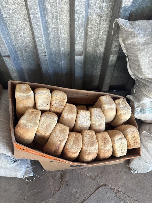 продам хлеб для животных