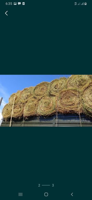 Сено люцерна жоношка урлон жоношка