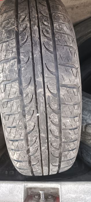 Продам шины тунга зодиак 2