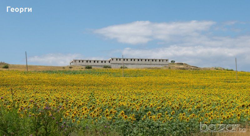 Продава се Парцел в Ахелой - 3776 кв.м за 9 €/кв.м - Снимка #6