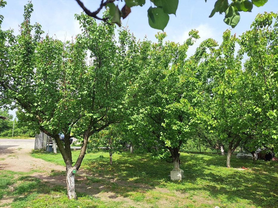 Собственик продава двуетажна масивна къща