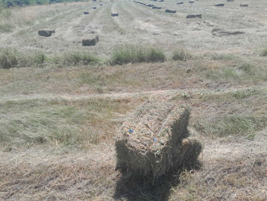 бали люцерна,ливадско сено и слама