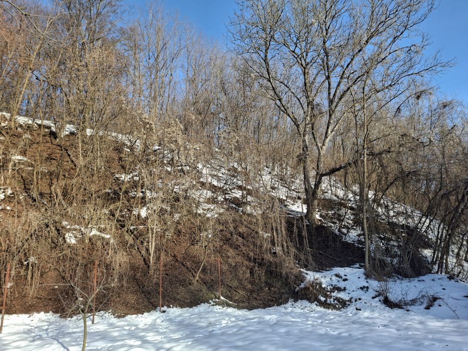 Teren 17 ari intravilan în Dămieni nr. 1 – zonă liniștită