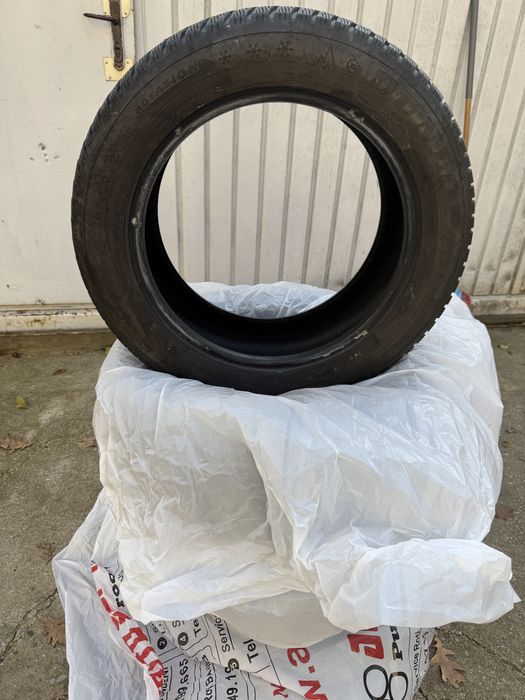 Dunlop Winter Sport 5