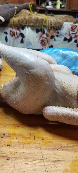 Продам мясо  молодых  бульонных  курочек  2200 тнг кг