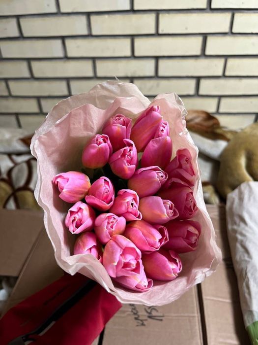 Тюльпаны беларусь оптом