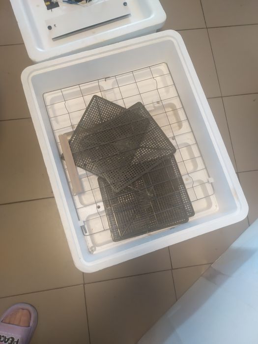 Инкубатор бытовой