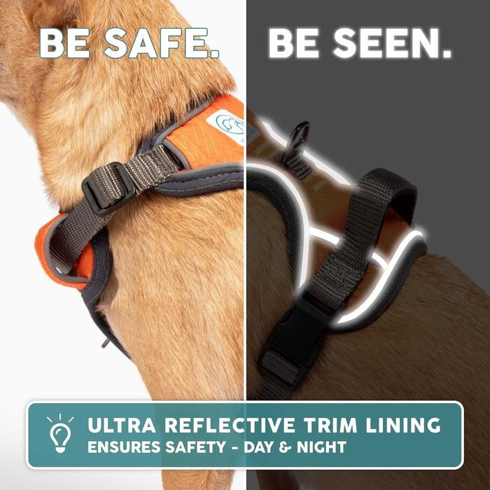 Топ!Нагръдник за куче Embark Adventure No-Pull, размер S, оранжев