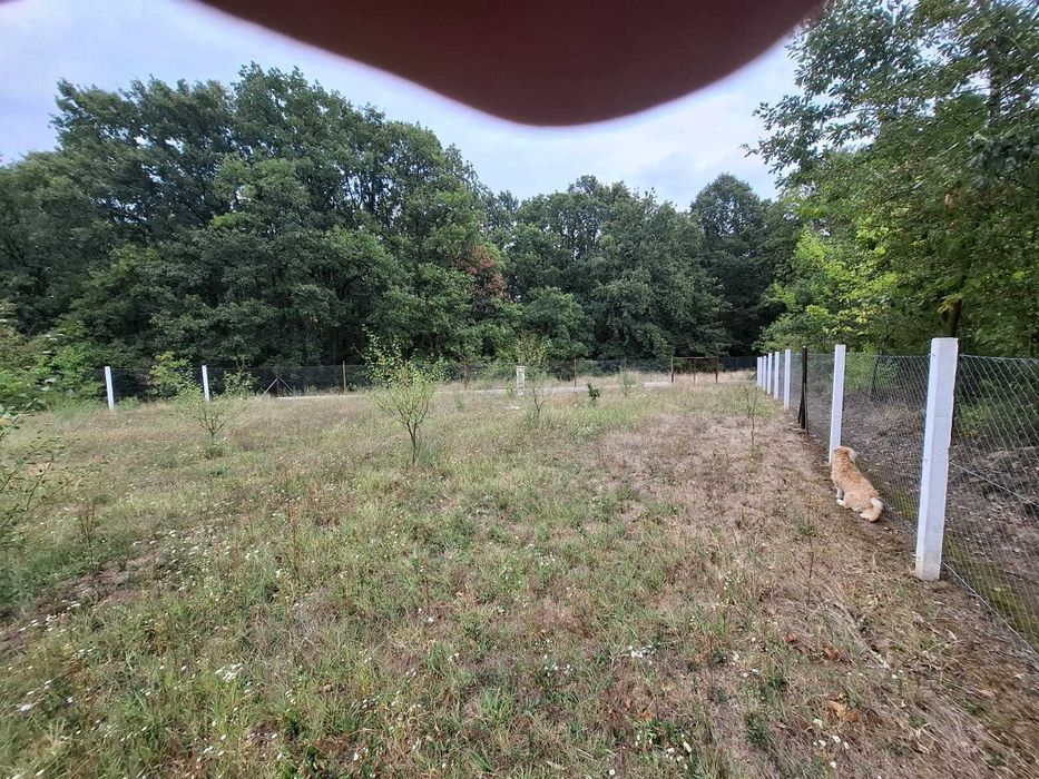 Teren  4033mp  Tg Cărbunești intravilan/extravilan