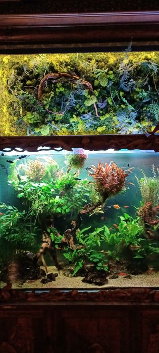 Обслуживание аквариумов