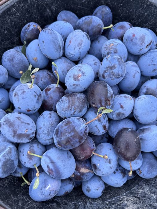 В продаже горные Яблоки - Груши
