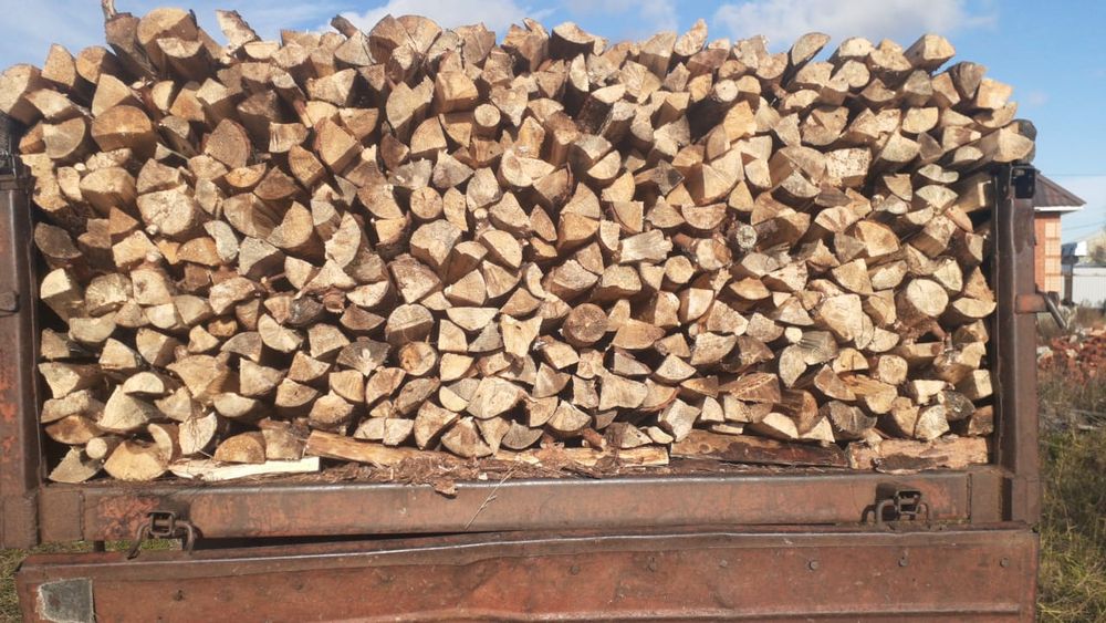 Продам дрова береза 10000 куб, самовывоз