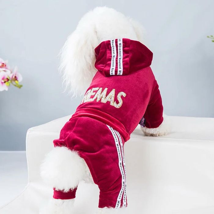 Дрехи, аксесоари и играчки за Вашия малък любимец