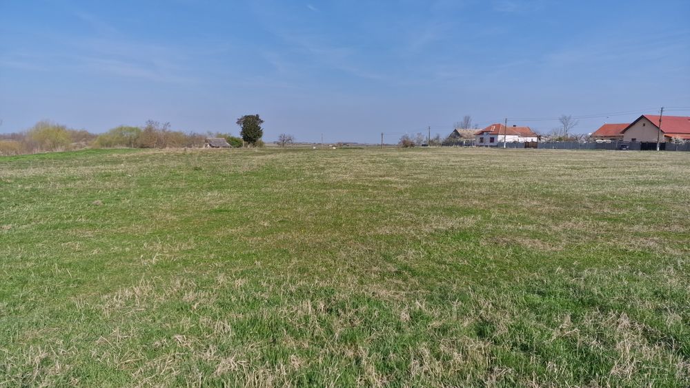 8433 mp Teren intravilan pentru constructii