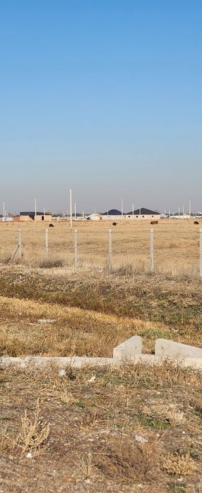 Кокозек вдоль БАКАДА