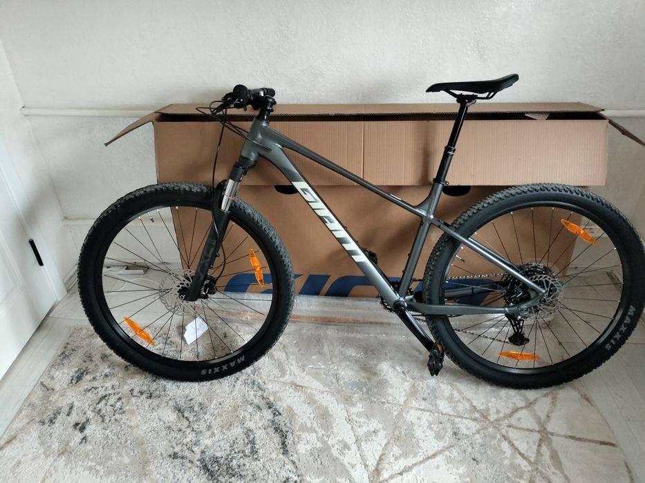Gaint talon 1 2025
