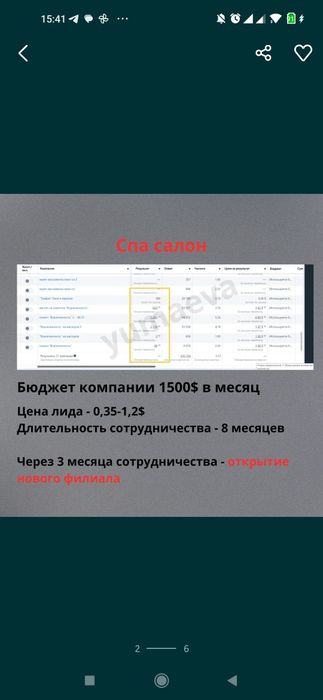 Практикующий Таргетолог