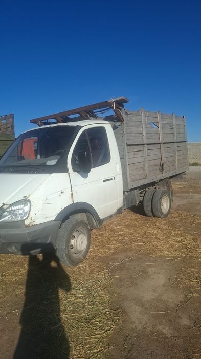 Газель жүріп тұрған