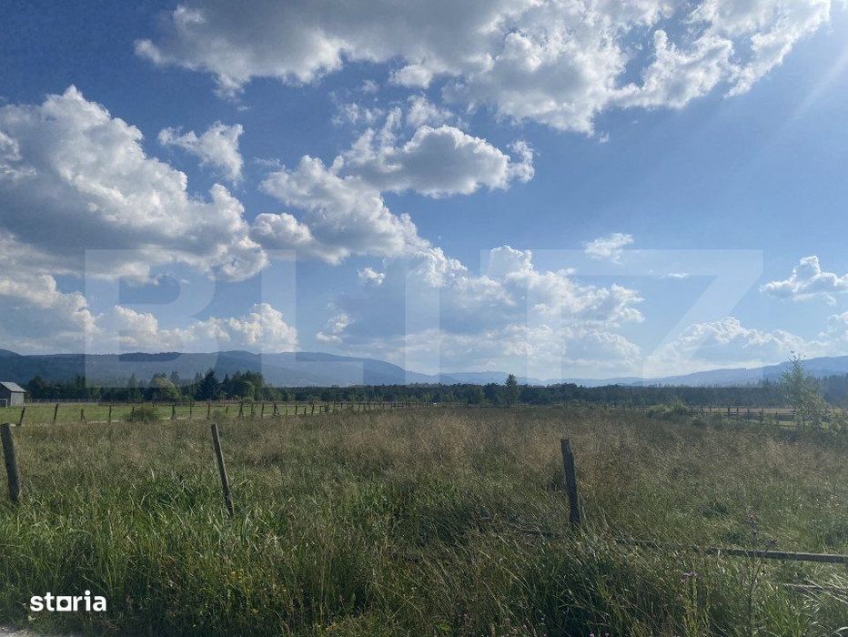 Vanzare teren 3850 mp Panaci