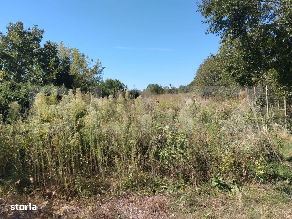 Teren intravilan, 800 mp, zona Cicom