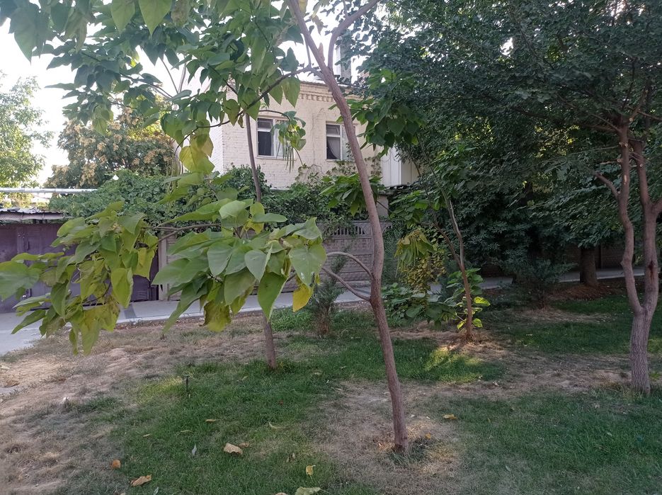 Срочно.Парк фуркат.Продаётся своя 3 /1/2  на 1 этаже