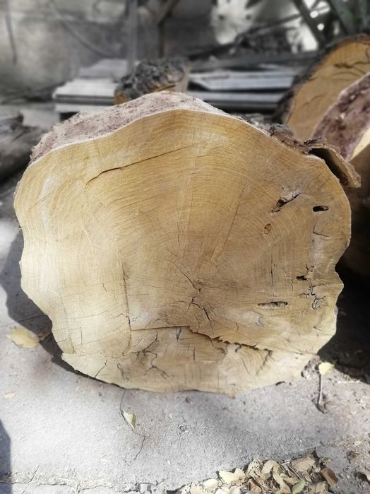 пень карагач,садовый столик