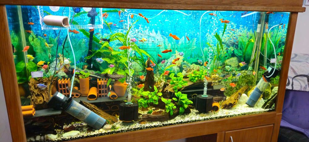 Аквариум 612л + филтри