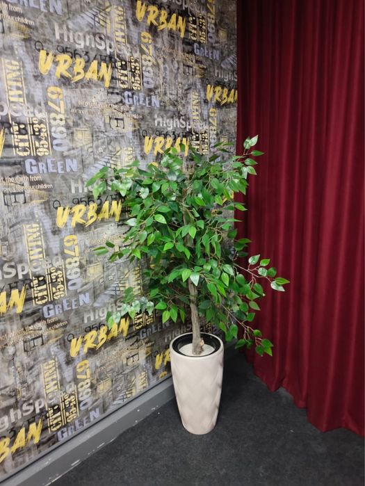 Продам стулья набор