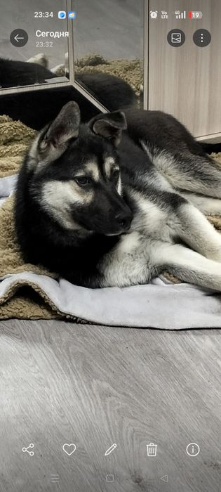 Пацан в добрые, надёжные руки!!!