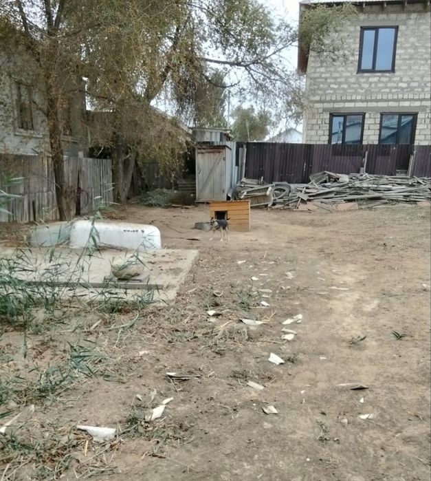 Продается чечиный дом