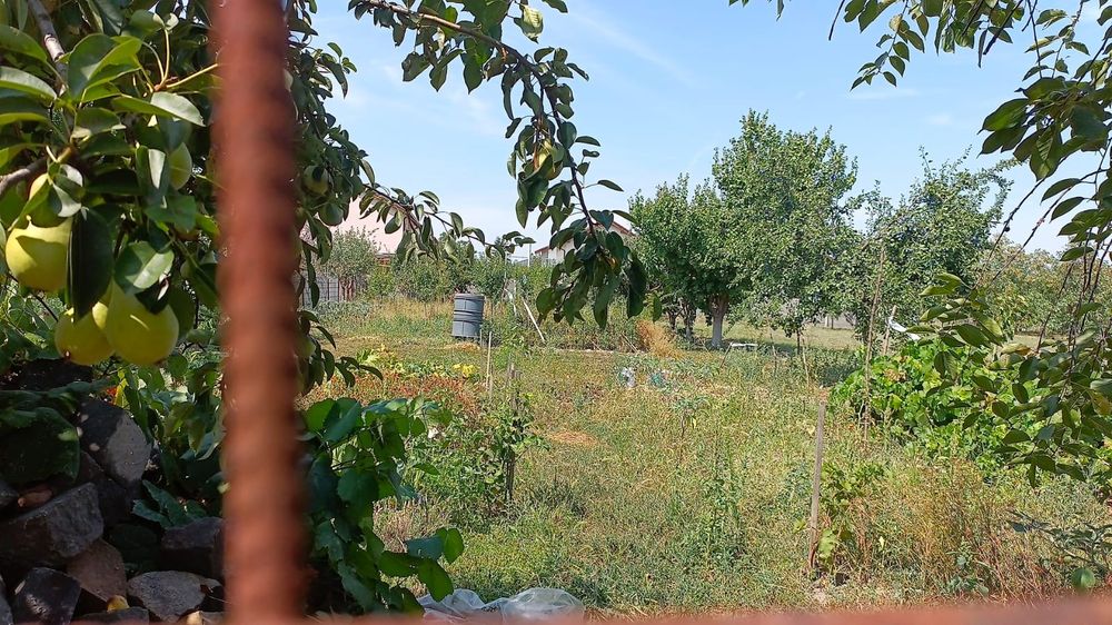 De vanzare casa in localitatea Covaci - Jud. Timis