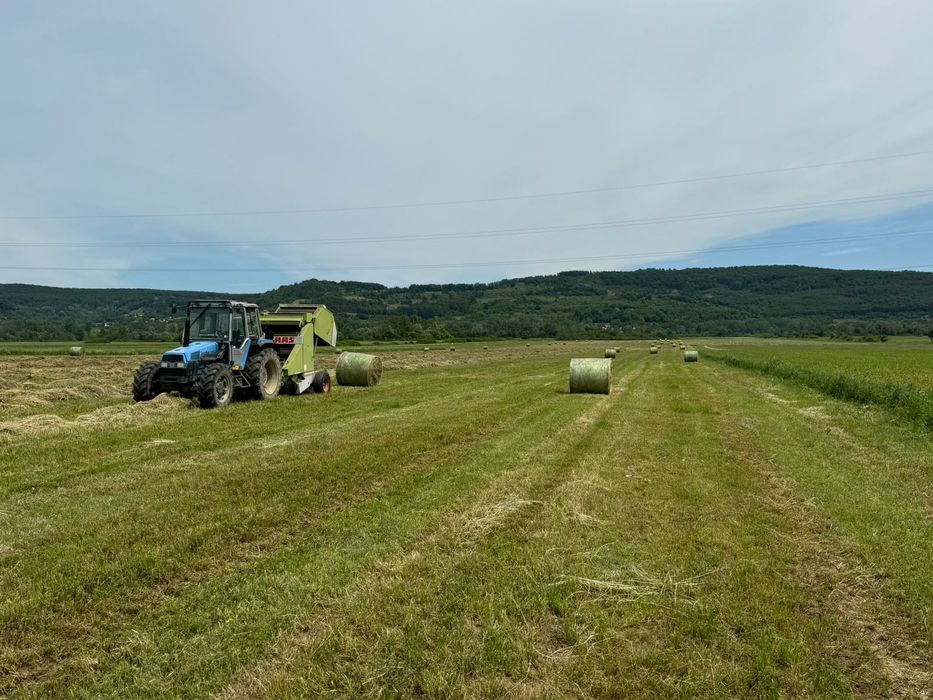 Baloți de  lucernă.