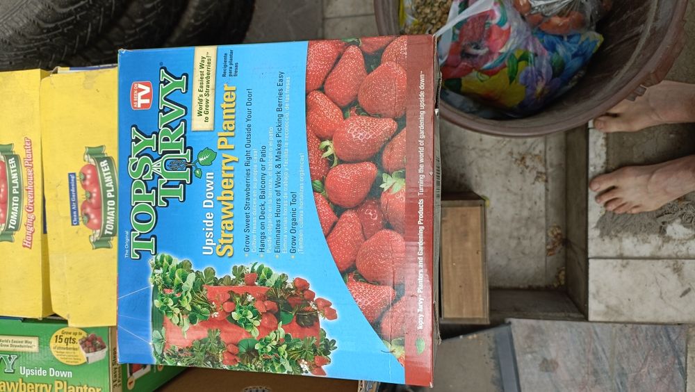 Висячие грядки для клубники