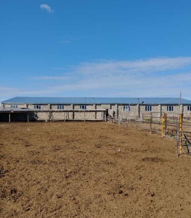 Продам Крестьянское хозяйство