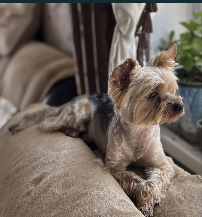 вязка! срочно!!!