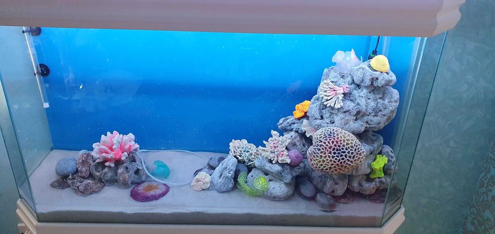 Дизайн аквариума.