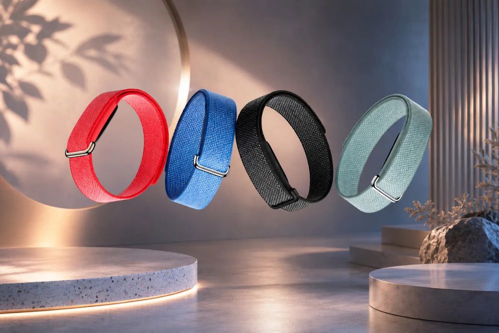 Google fitbit air