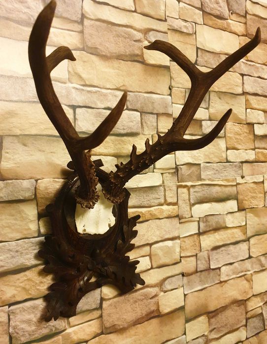 Caprior siberian ( cerb, mistret, lopatar )