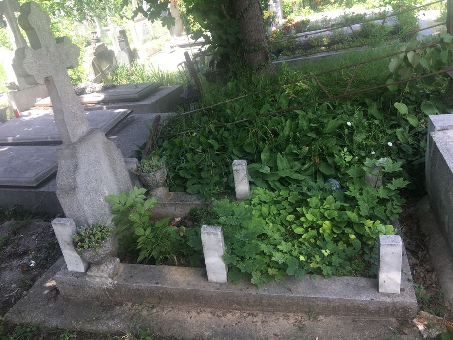 Loc de veci cimitir  Sf. Vineri