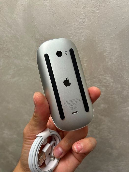 • Apple Magic Mouse 2 •