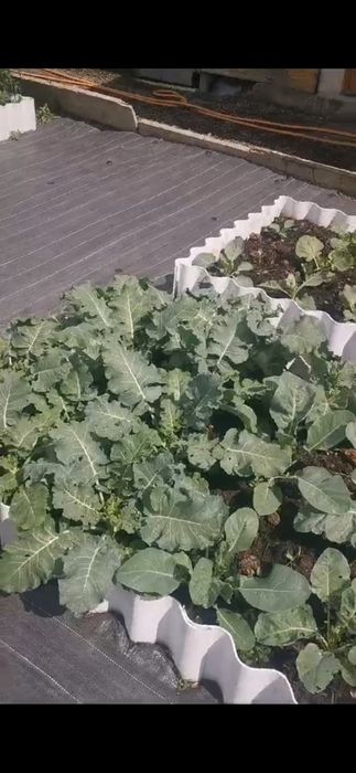 Срочно.Продается большой дом