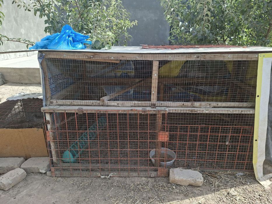 Товуқ уйчаси сотилади