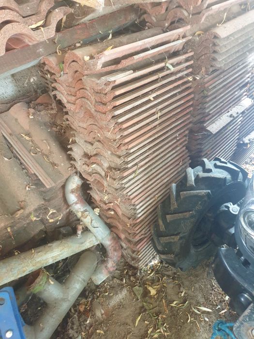 Car cu boi autentic.Tigle Elpreco