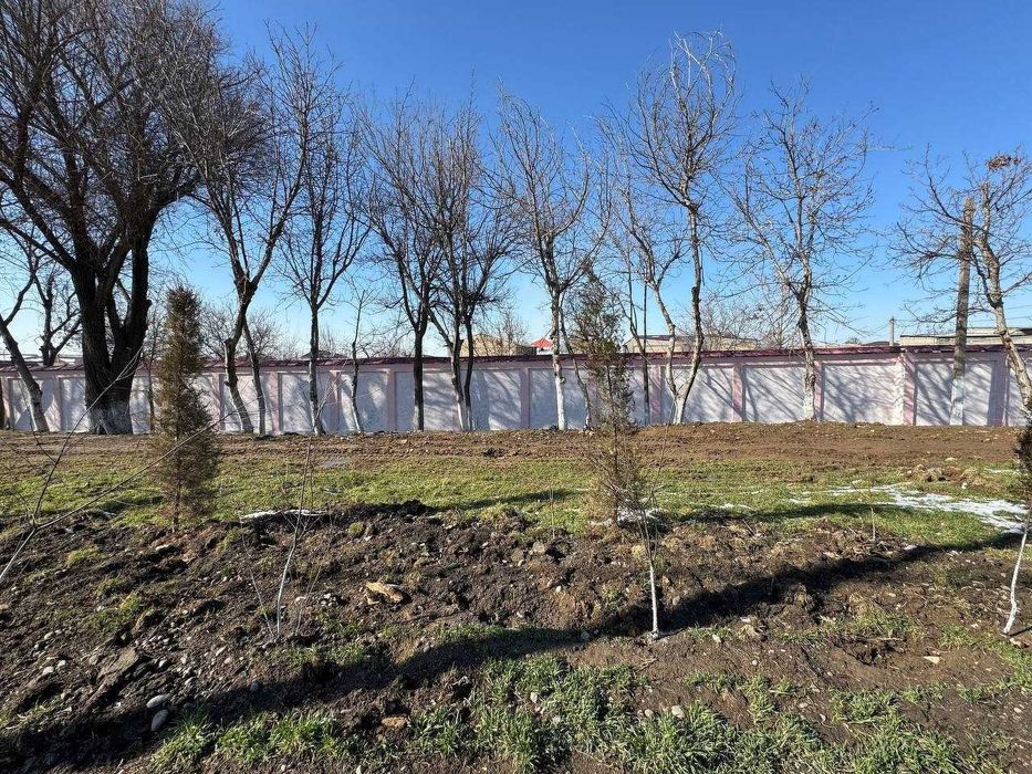 Продается участок 78 соток, 1-линия, Лимонарий (87648)