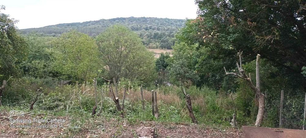 Продава се Парцел в Варна, Възраждане 1 - 800 кв.м за 38 €/кв.м - Снимка #9