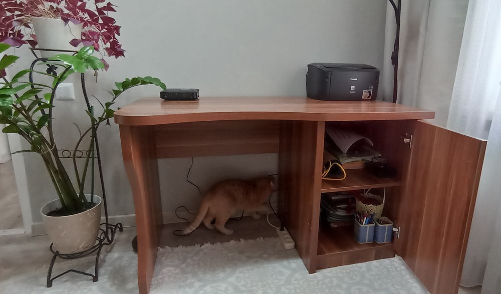 Письменный стол.