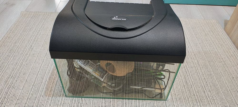 Acvariu 20L complet echipat