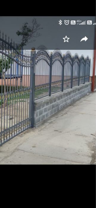 Porți metalice(fier forjat)