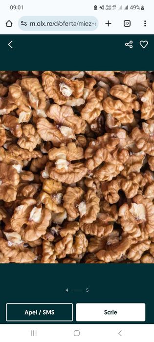 Miez de nuca productie 2024