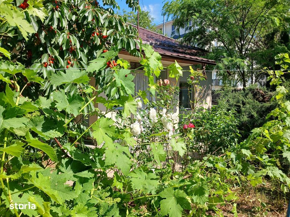 Proprietar, vand casa centru Buftea, 843 teren, 196+ suprafata utila